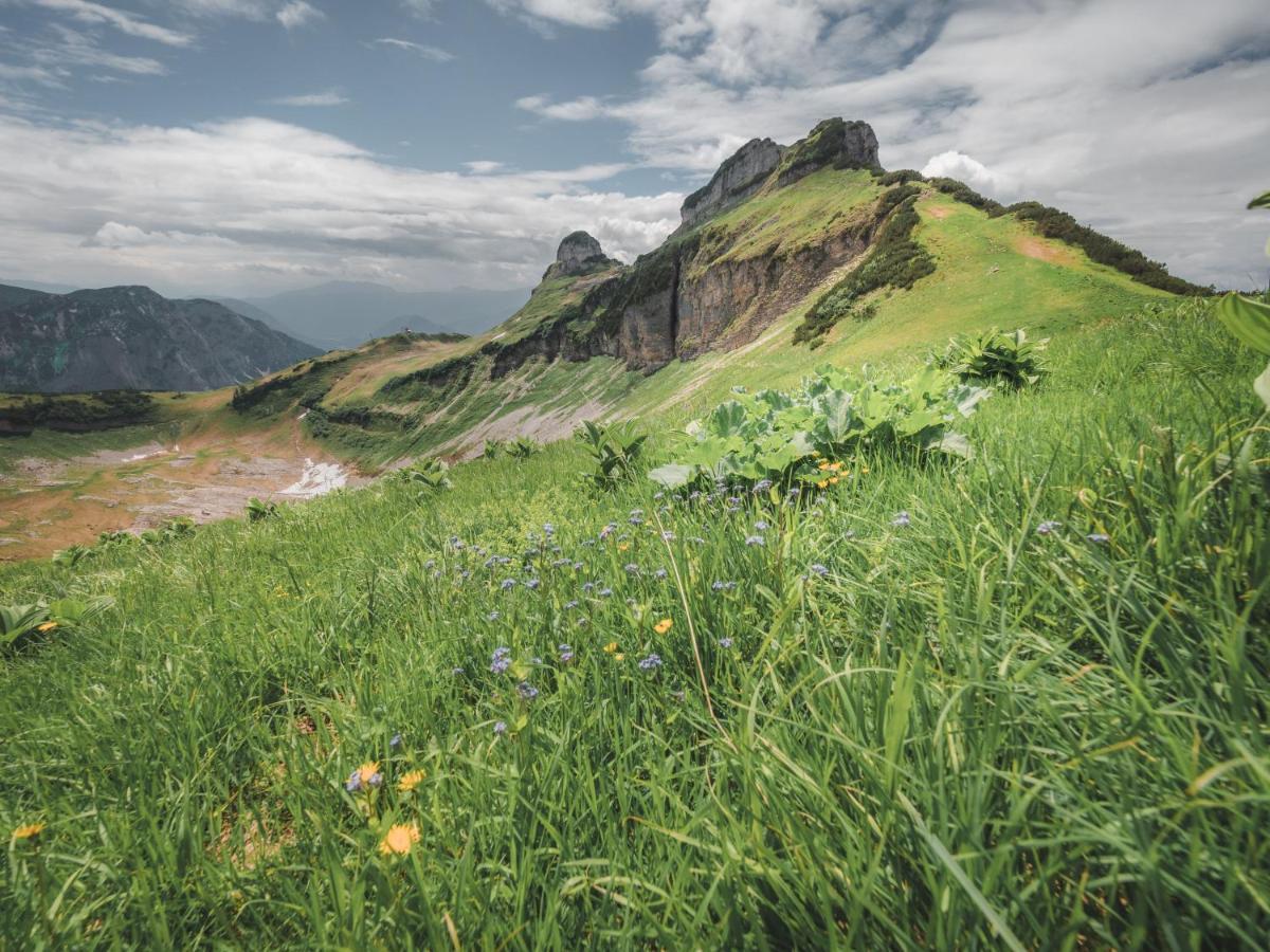 Alpenglueck Tauplitz公寓 外观 照片